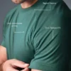 Camiseta raglán Triumph - Hiedra de invierno