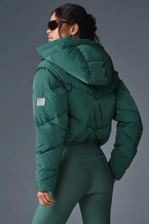 Chaqueta acolchada Glacier - Hiedra de invierno