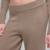High-Waist Wool Cashmere Wide Leg Pant - Chai Latte