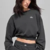 Jersey de cuello redondo Accolade corto - Antracita
