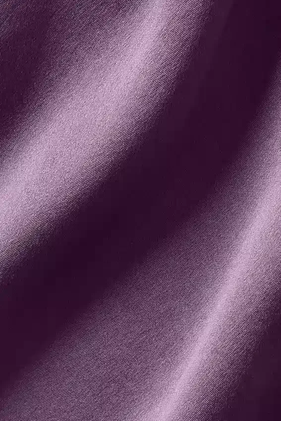 Camisa corta de manga larga con botones «Silk Luminous» - Plum Kiss